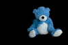 blauwe teddybeer