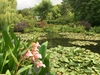 de tuin van monet in Giverny