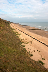 Norfolk strand: 