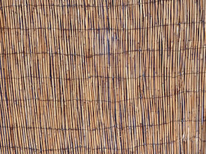 bamboe hek