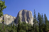 el capitan, breed panorama-4