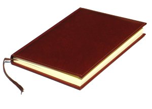 bruin notebook 1