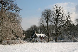 Winter cottage: 