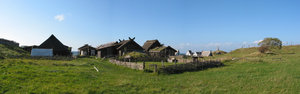 Viking dorp, Foteviken, Well