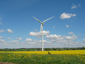 windmolens en geel veld 2