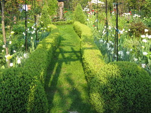 sunny hedgeway