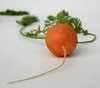 Carrot 2
