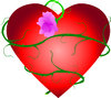 hart met roos