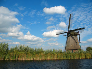 Windmills: 