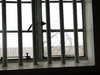 Gevangenis Beelden Van Robben Isla