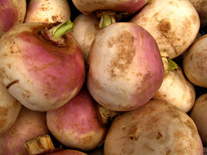 turnip purple