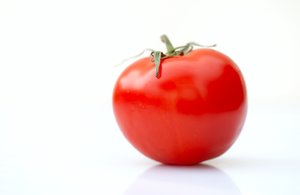 Solo tomato