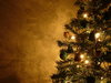 Graham's Christmas Tree 13