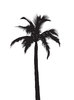 silhouet palmboom