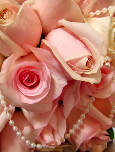 rose bouquet4