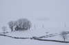 Sneeuw in Alto Campoo