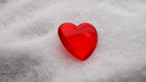 sneeuw hart