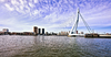 Erasmus bridge