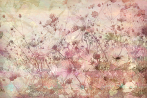 bloemen collage 4