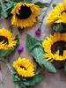 zonnebloemen en distels