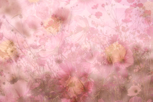 bloemen collage 5: 